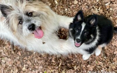 Nala und Nelly haben Spaß