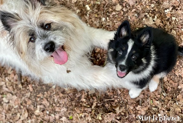 Nala und Nelly haben Spaß