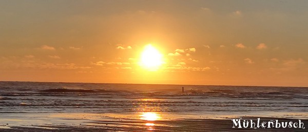 Samu genießt den Strandurlaub