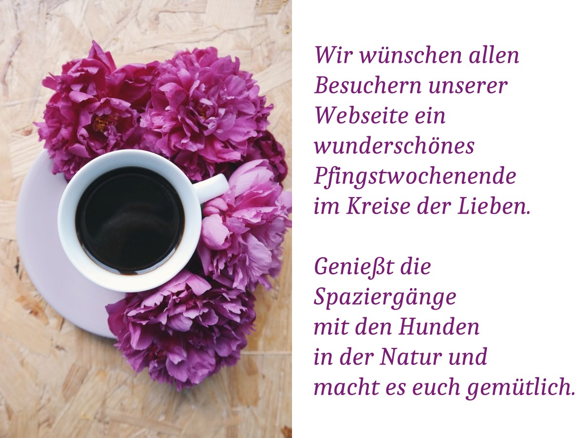 Pfingstgruesse