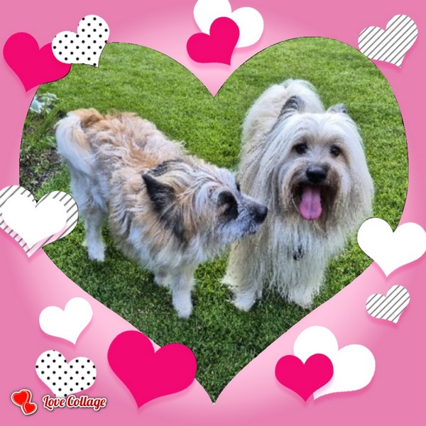 Taira-Phino-Herzen-00001